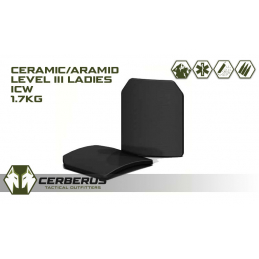 BPT ICW4 Level III SA MIX Ladies Front Plate - 1.7kg - 210x260mm  M-Curve
