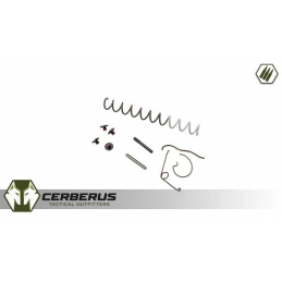 Sig Sauer P229 9mm Parts Kit