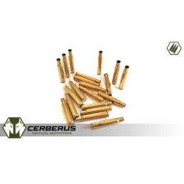 Brass Cases - 30-06 PMP...