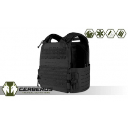 Condor Vanquish RS Plate...