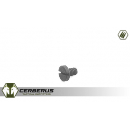 DSA FAL SA58 Slotted Screw...