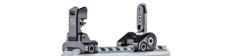 Backup Sights